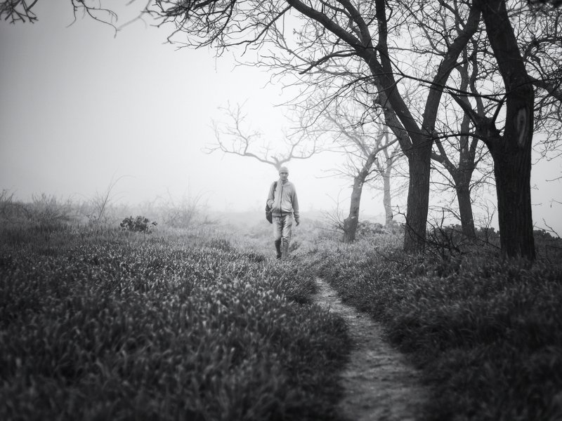 чб, Керчь, туман, рога, человек, дерево, дорога ***photo preview