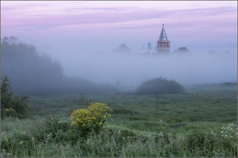 россия, ивановская обл, введенье Про жёлтый кустикphoto preview