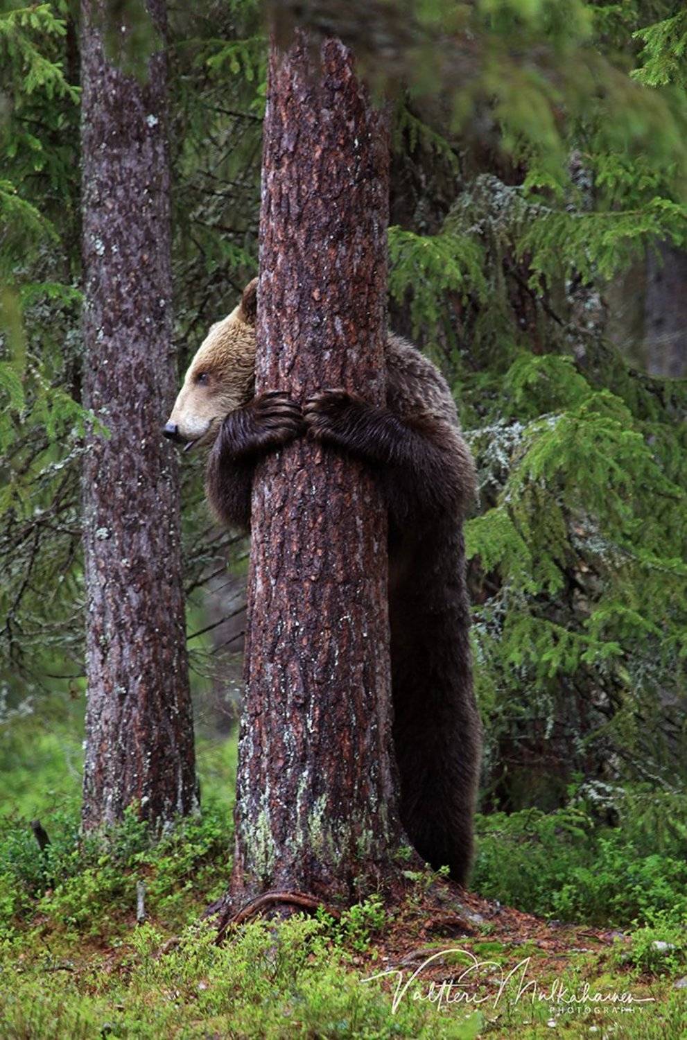 , Valtteri Mulkahainen