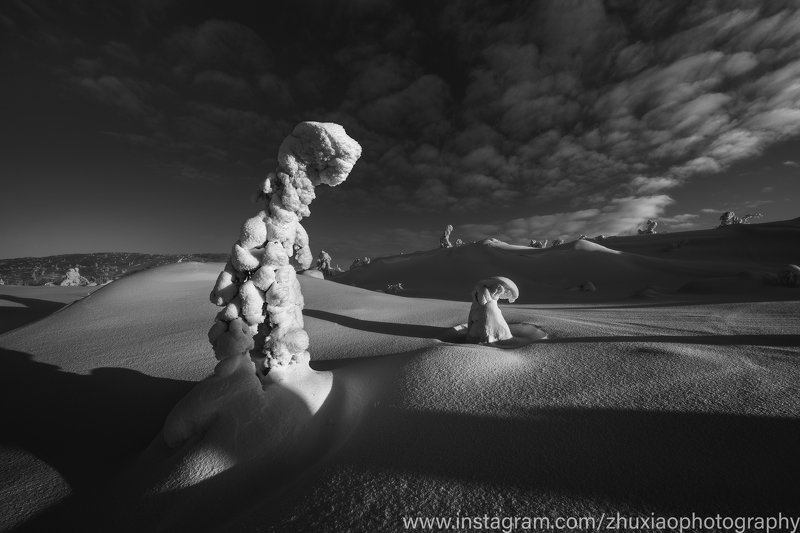 черный  белый Большой и маленькийphoto preview