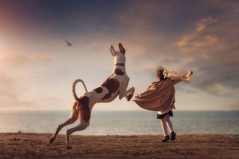 Варя и Вейс (podenco ibicenco)photo preview