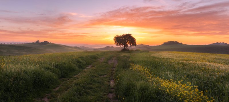 тоскана рассвет село деревня вилла деревья Тоскана утромphoto preview