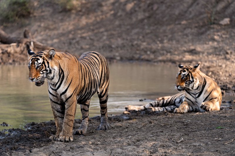 Братьяphoto preview