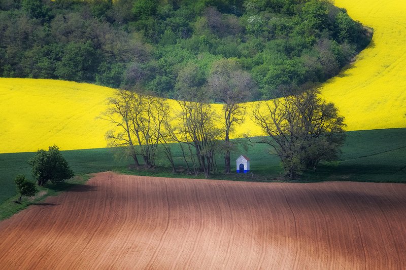 Moraviaphoto preview