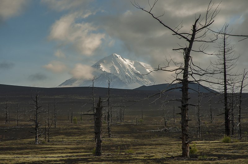 камчатка вулкан толбачик бтти Толбачикphoto preview