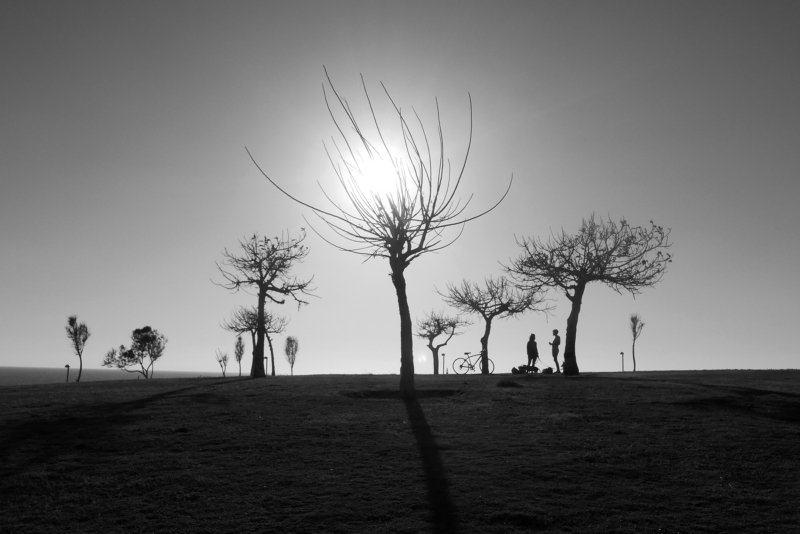 silhouet, black, and, white silhouettes ...#15photo preview