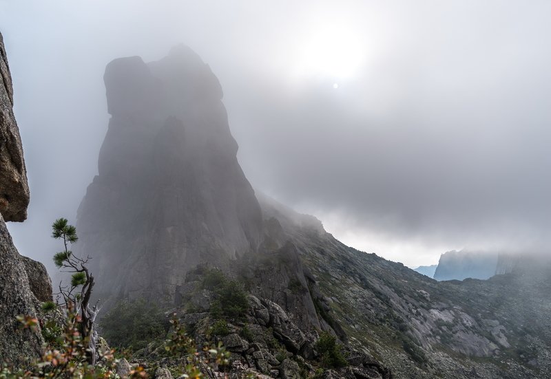 горы, сибирь, саяны, западный саян, ергаки, путешествие, поход, приключения, ник васильев, утро, туман, дерево, кедр Туманная Сказкаphoto preview