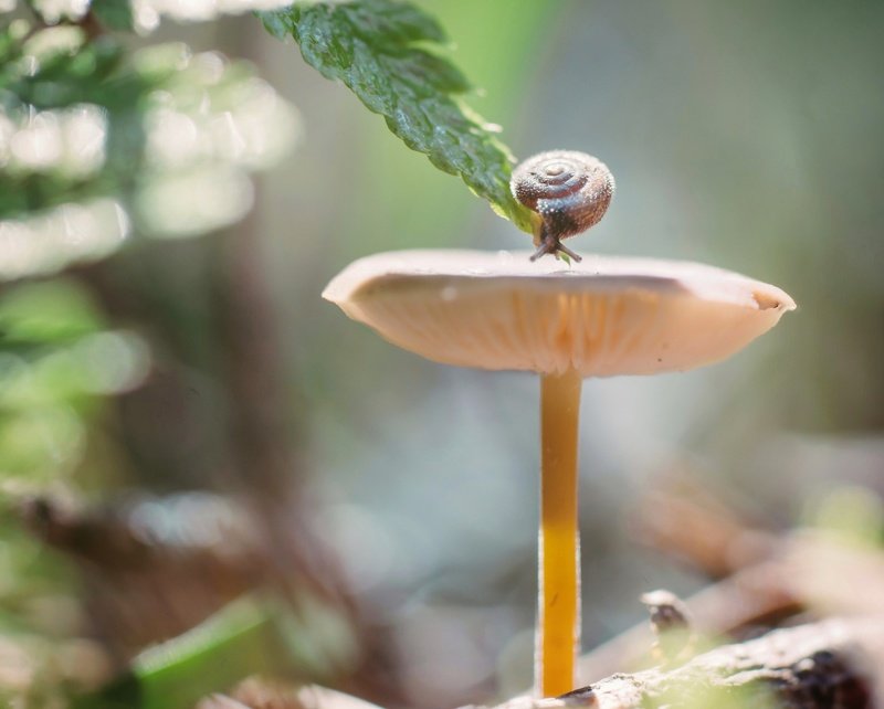 Долгий путь :)photo preview