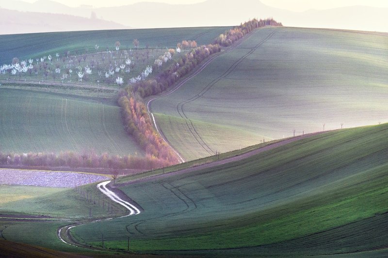 Свет раннего утраphoto preview