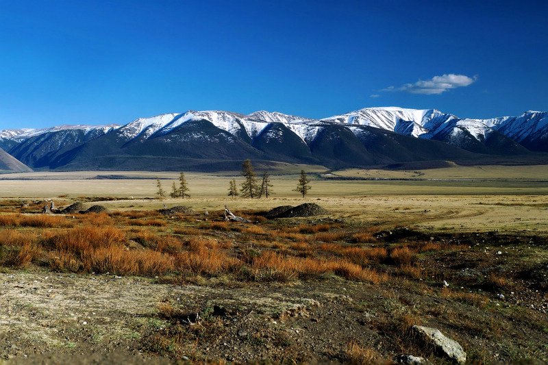 природа  алтай  горы пейзаж путешествие весна тени  май курай северо-чуйский хребет За Кураем...photo preview