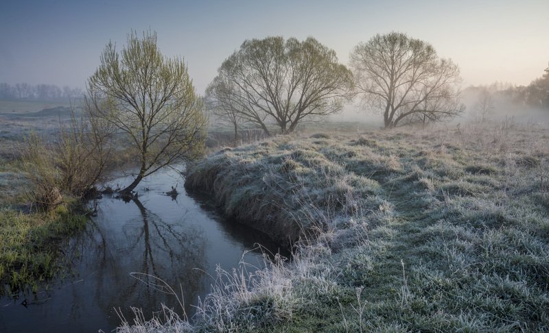 Весеннее утроphoto preview