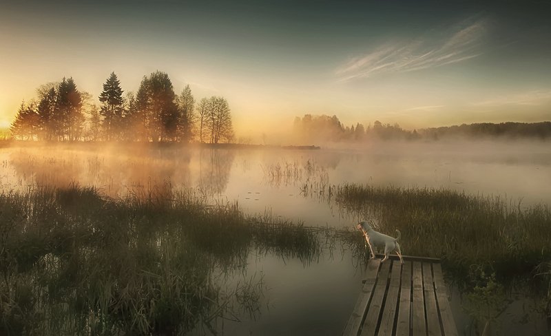 рассвет,озеро шлино,май,природа ..встречая рассвет..photo preview