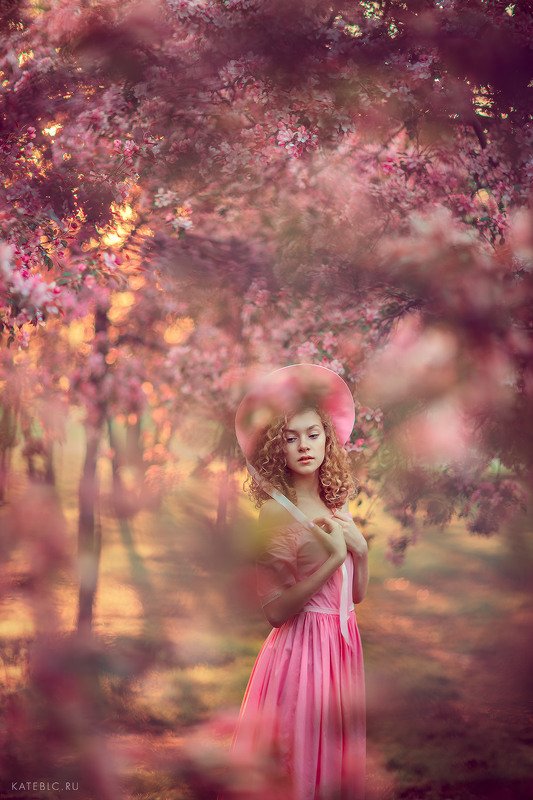 розовый, девушка, рассвет, солнце, детская фотосессия, детский фотограф, москва, цветение Розовая историяphoto preview