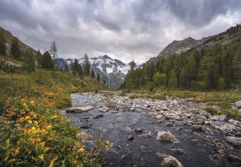 Будет дождьphoto preview