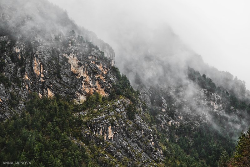 Олимпphoto preview