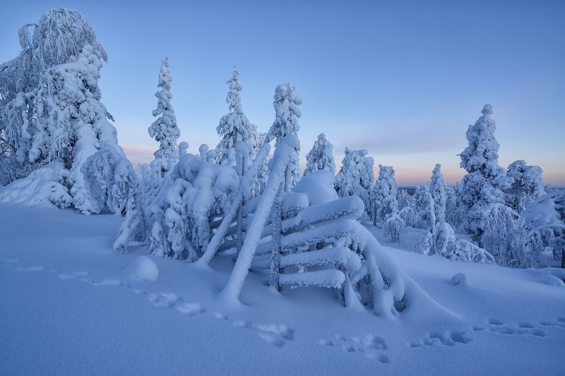 В 2020 приглашаю сюда на Рождество. Обращайтесь  Заячьими тропами...photo preview