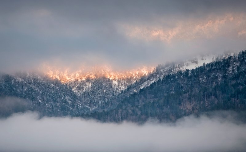 Утро, утонувшее в туманеphoto preview