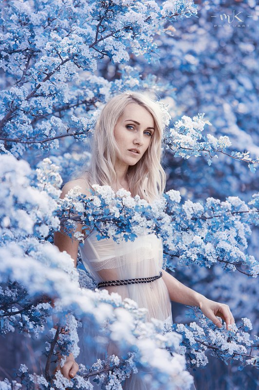 Hiding angelphoto preview