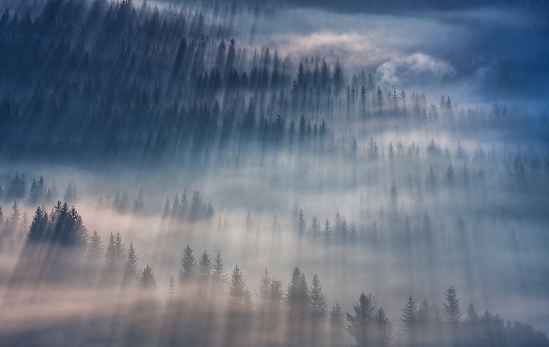 Frost in the valleyphoto preview