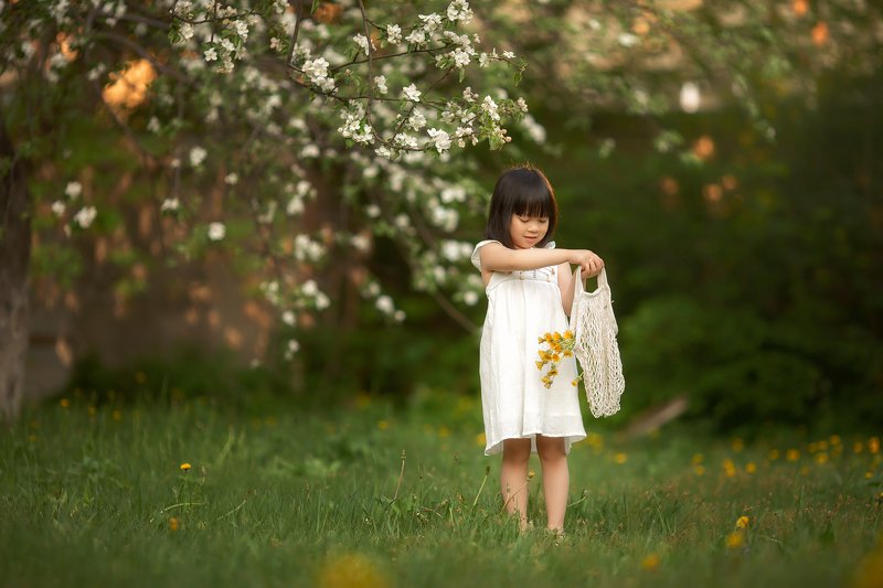 Яблониphoto preview