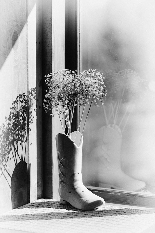 Параллельные реальностиphoto preview