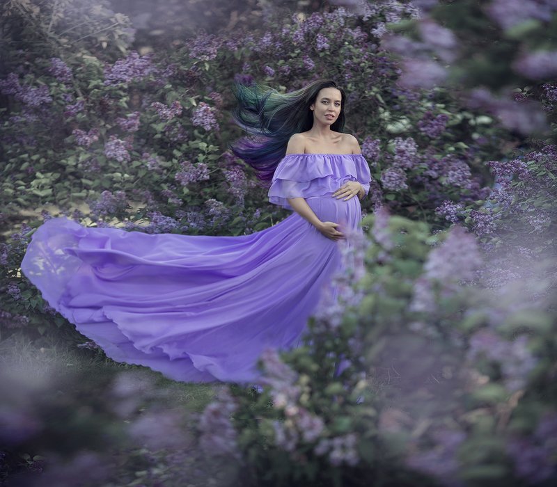 Сиреньphoto preview