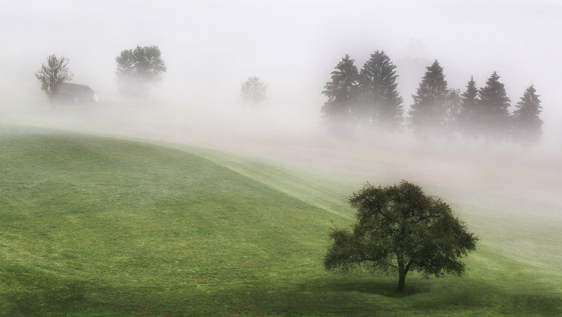 швейцария, альпы, туман Млечною лёгкостью манит туман...photo preview