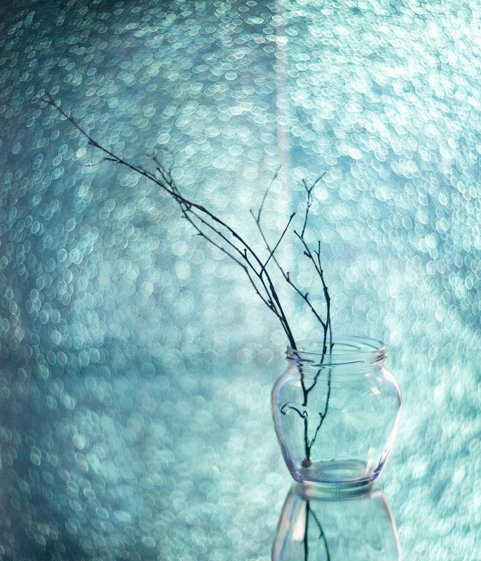 натюрморт, боке, ветка, голубое photo preview