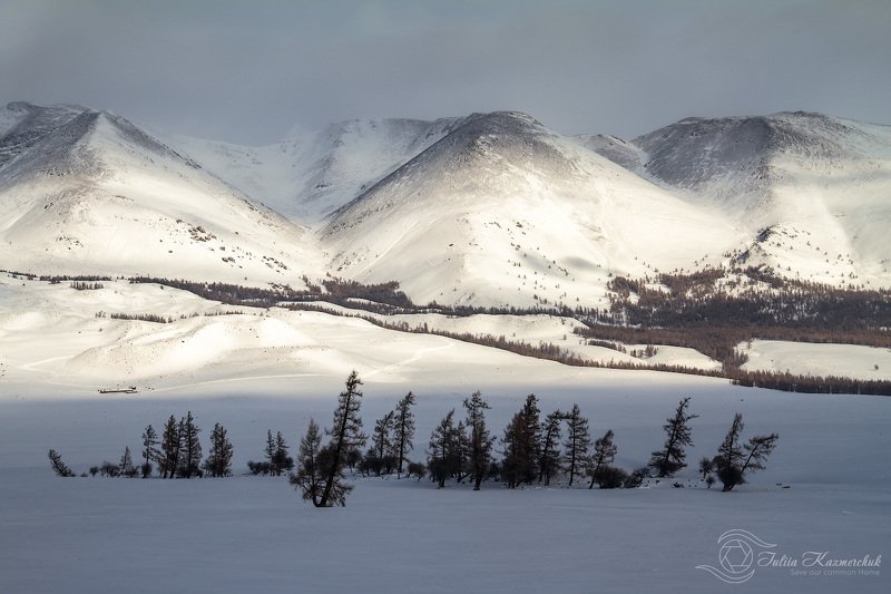 landscape, scenic, nature, travel, outdoor, view, steppe, larch, tree, spring, mountains, snow, sky, high, kurayskyi range, gornyi altai Зимний Курайскийphoto preview