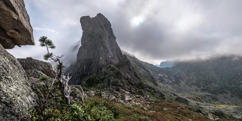 горы, россия, сибирь, саяны, западный саян, ергаки, путешествие, поход, приключения, ник васильев, утро, туман, дерево, кедр, панорама, перевал сказка Путь в Сказку.photo preview