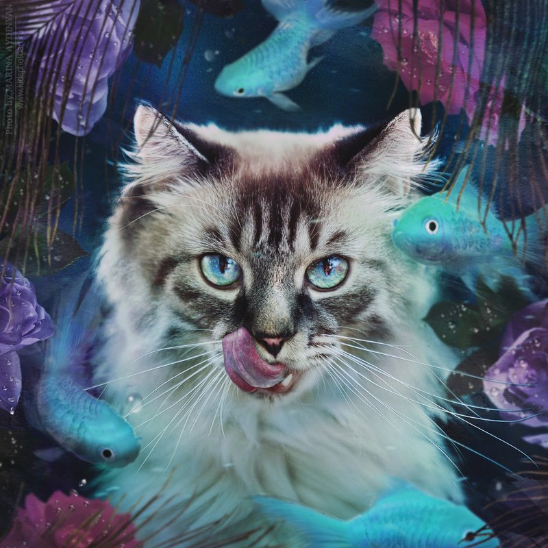 животные, фотосессия, котики, кот, art, photoart,  photo, photosession, photographer, портрет, художественныйпортрет, концептуальнаяфотография О котеphoto preview