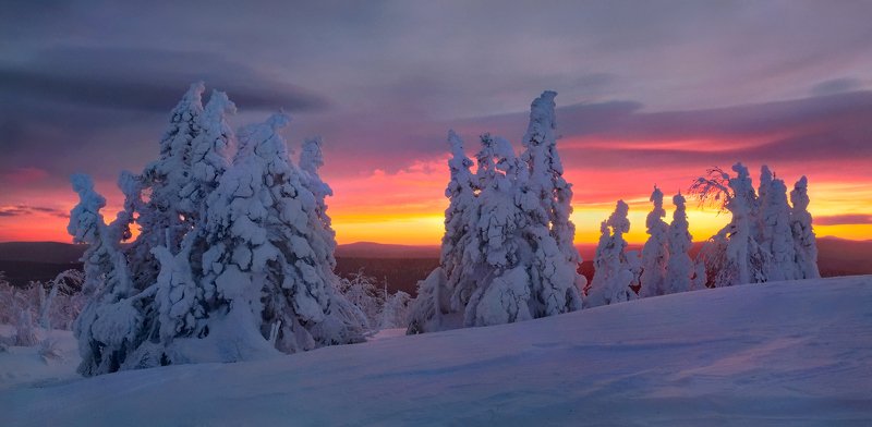 урал, зима, гух, закат, снег, ели, облака Не пропустить...photo preview