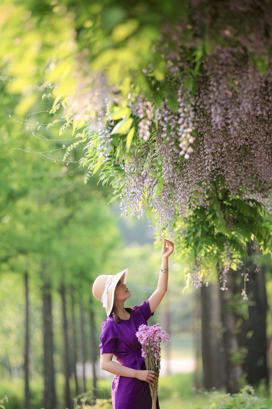 spring flowersphoto preview