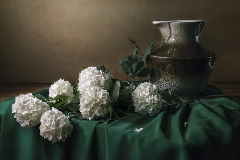 цветы, калина, кувшин, ткань, зелёный Калина бульдонеж и кувшинphoto preview