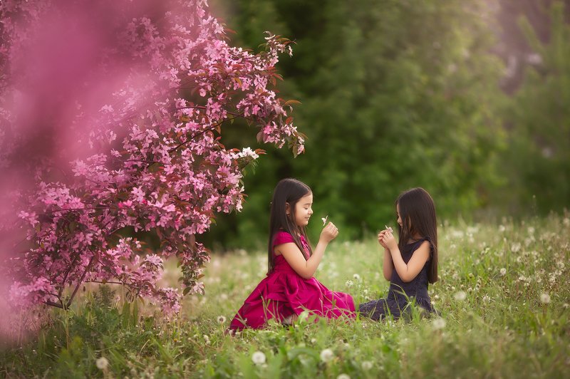 Сакураphoto preview