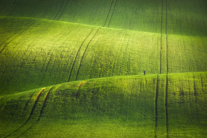 south moravia, czech, fields, spring Маленький фотографphoto preview