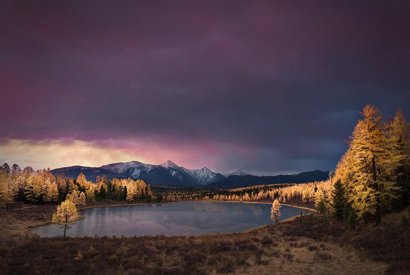 алтай, осень На рассветеphoto preview