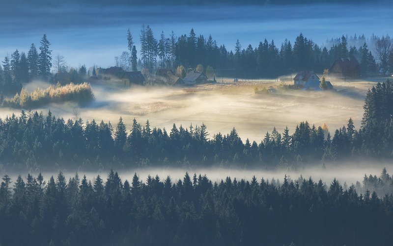 Morning meadowphoto preview