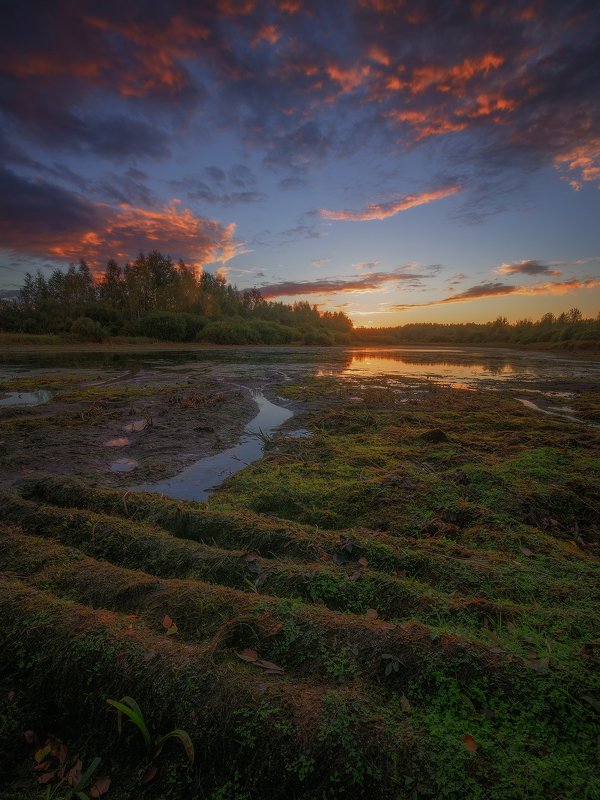 Сентябрьский закат на болотахphoto preview