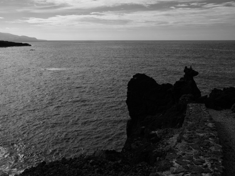Azores, Black and white, Monochrome, Portugal, Atlantic ocean The Atlantic ocean dog фото превью
