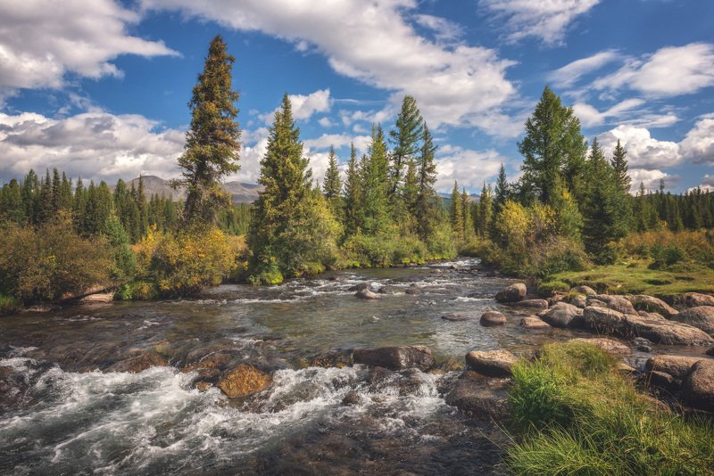 Мелодия горной рекиphoto preview