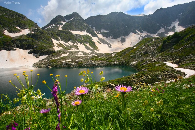 Цветы Дуккинского озераphoto preview