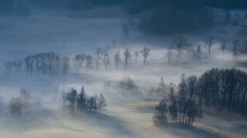 Notification Marcin Grzegorczynphoto preview