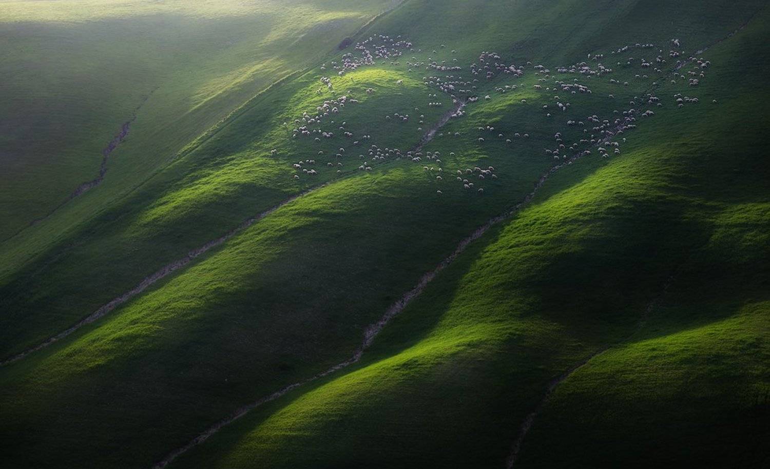 , Marcin Sobas