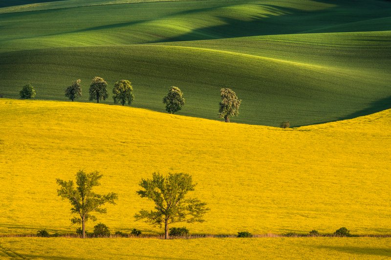 south moravia, czech republic, sunset, fields, hills, shadows, journey, travel \
