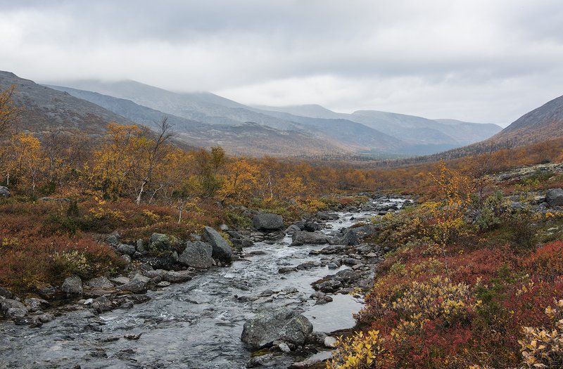 Хибинская осеньphoto preview