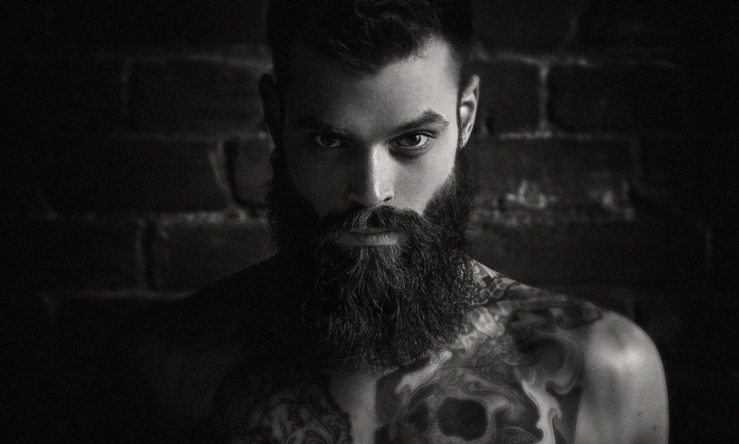 Дмитрий. Автор: Александр Губель , Александр Губель