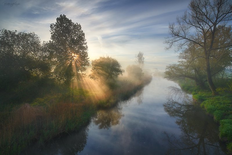 spring, nature, poland, landscape, river, fog, chełmno, ner, morning, magic, beautiful The Real Springphoto preview