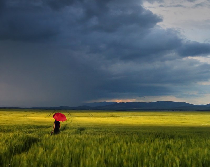 Red Umbrella Diaries IIphoto preview