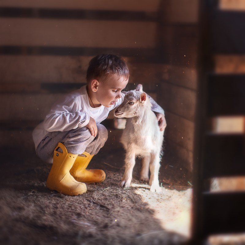 Мальчмк коза козленок секрет друзья деревня Тайна photo preview